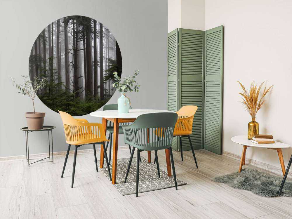 Forest during a foggy day