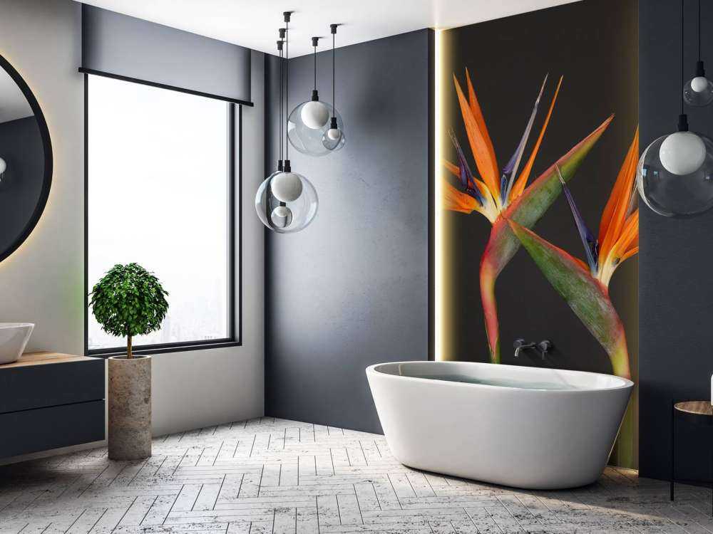 Bird of Paradise flowers