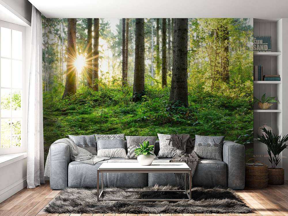 Forest panorama in spring