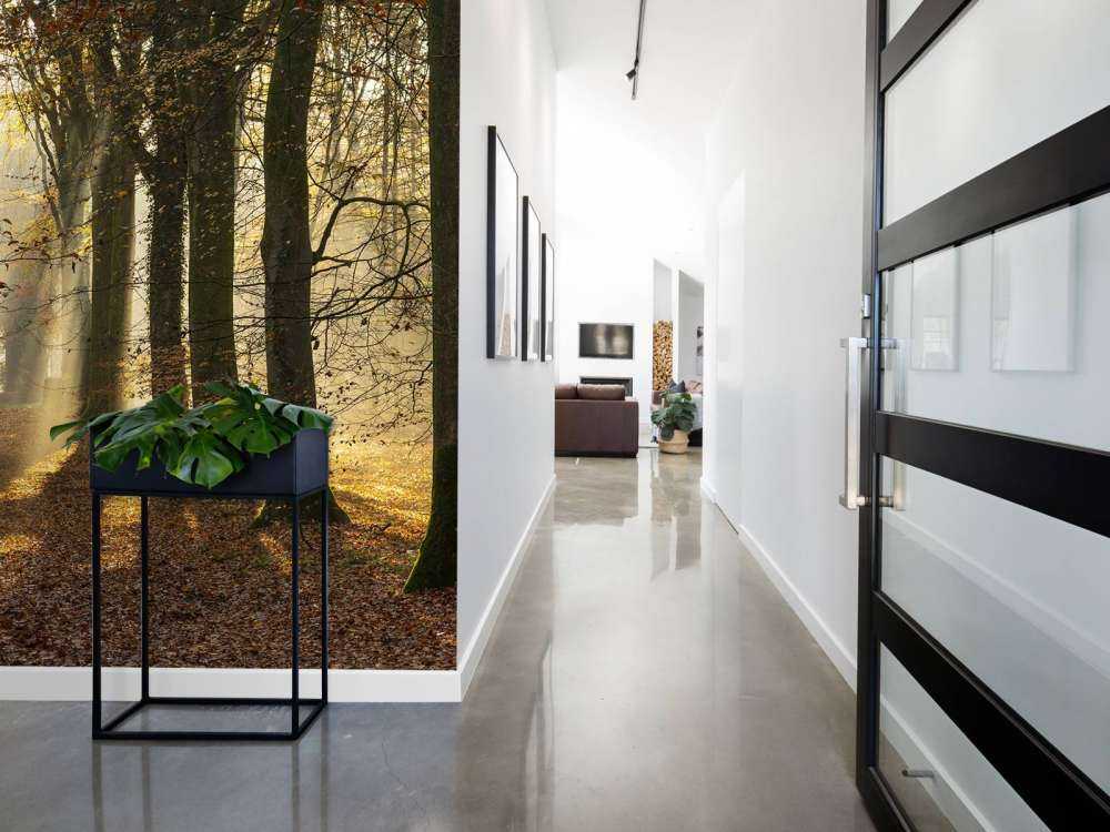 The forest of Crécy