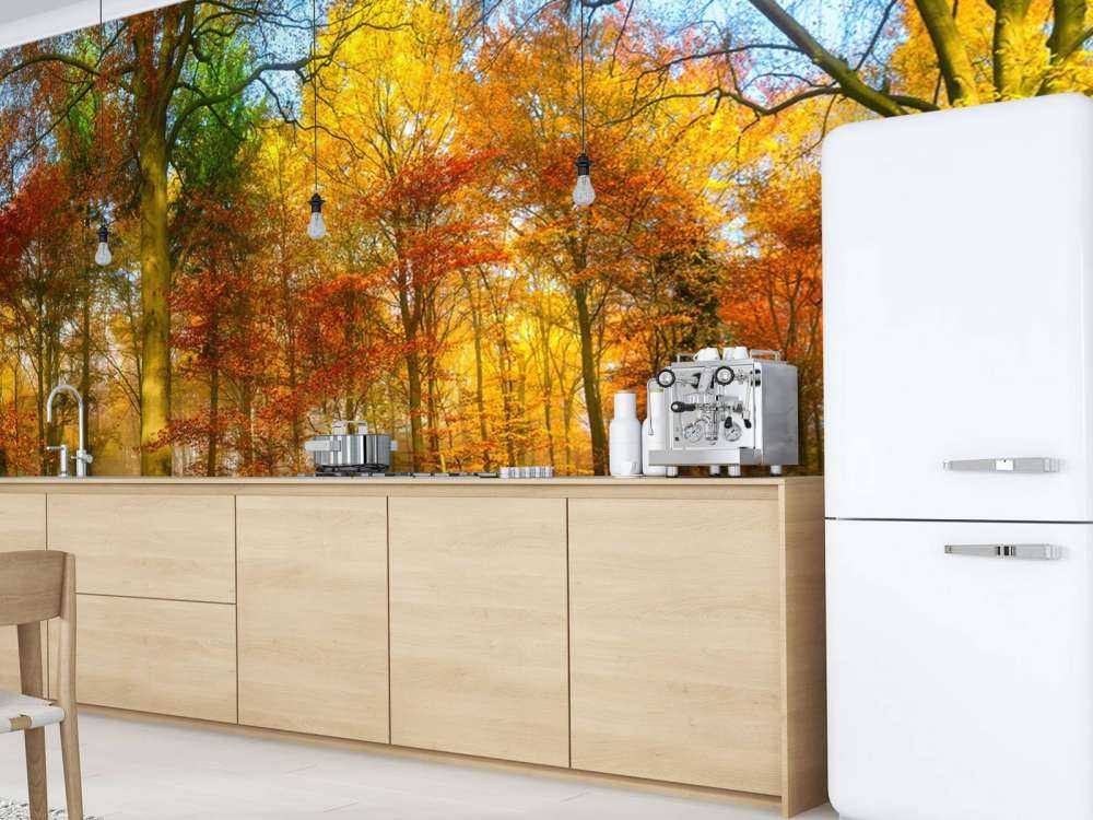 Colorful forest panorama