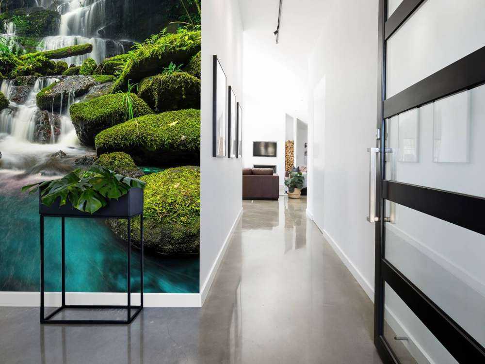 Waterfall in a jungle