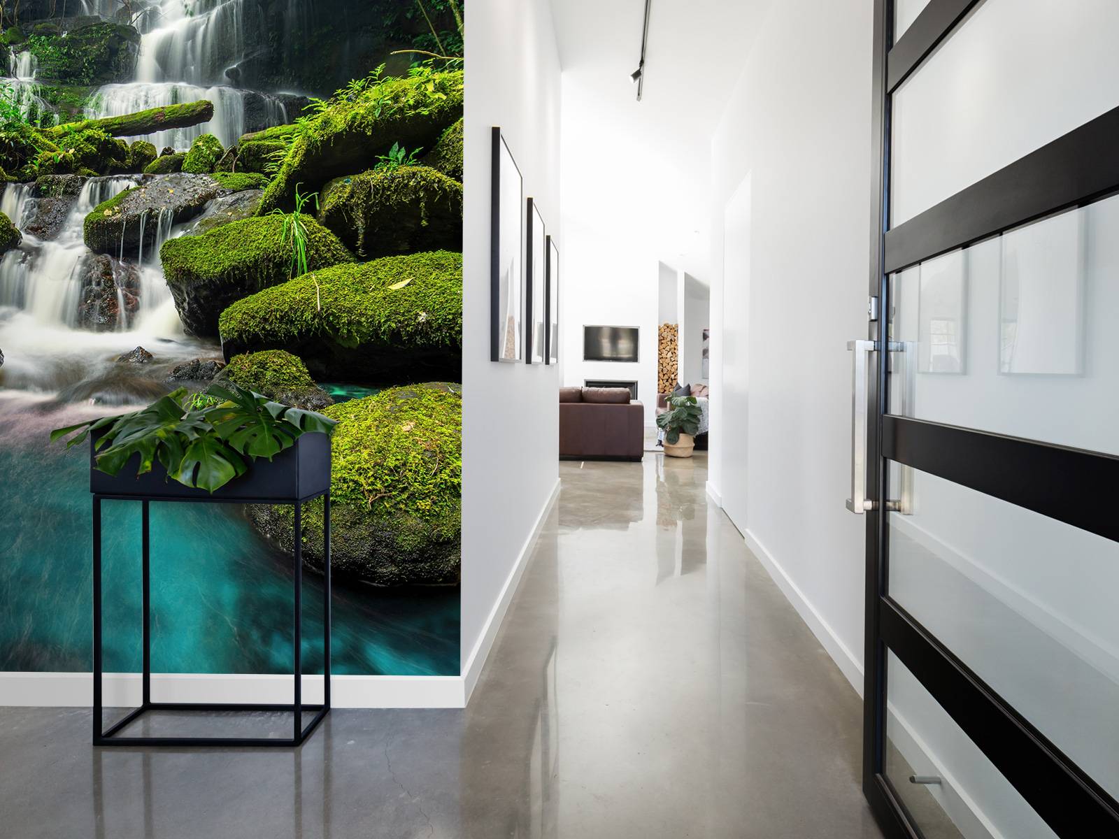 Waterfall in a jungle