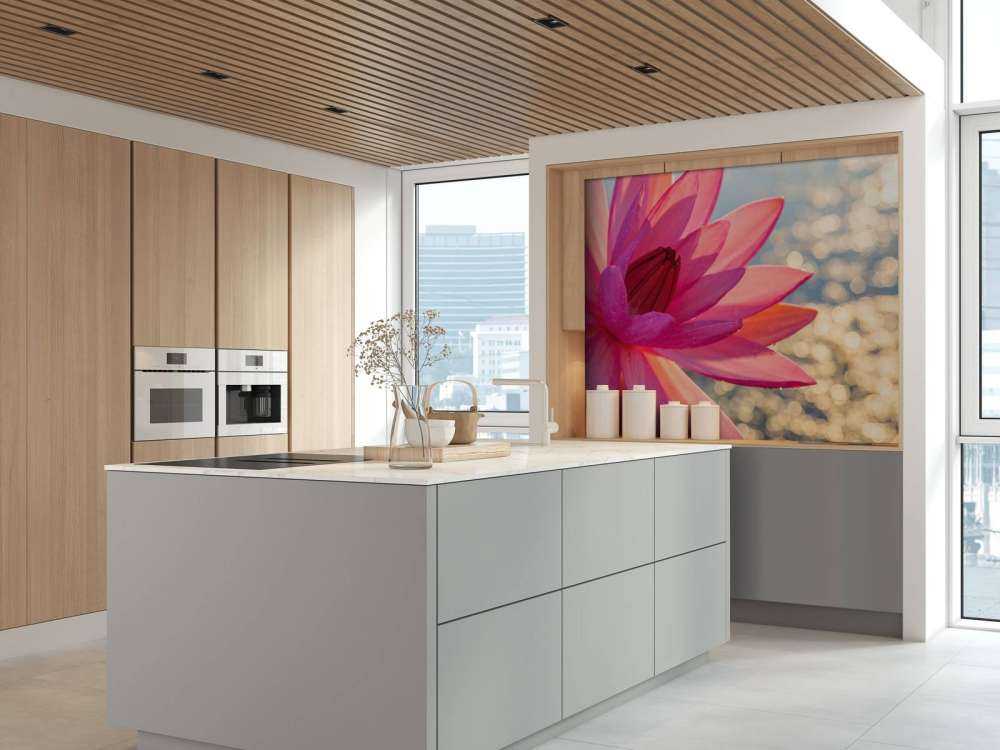 Lotus flower on water