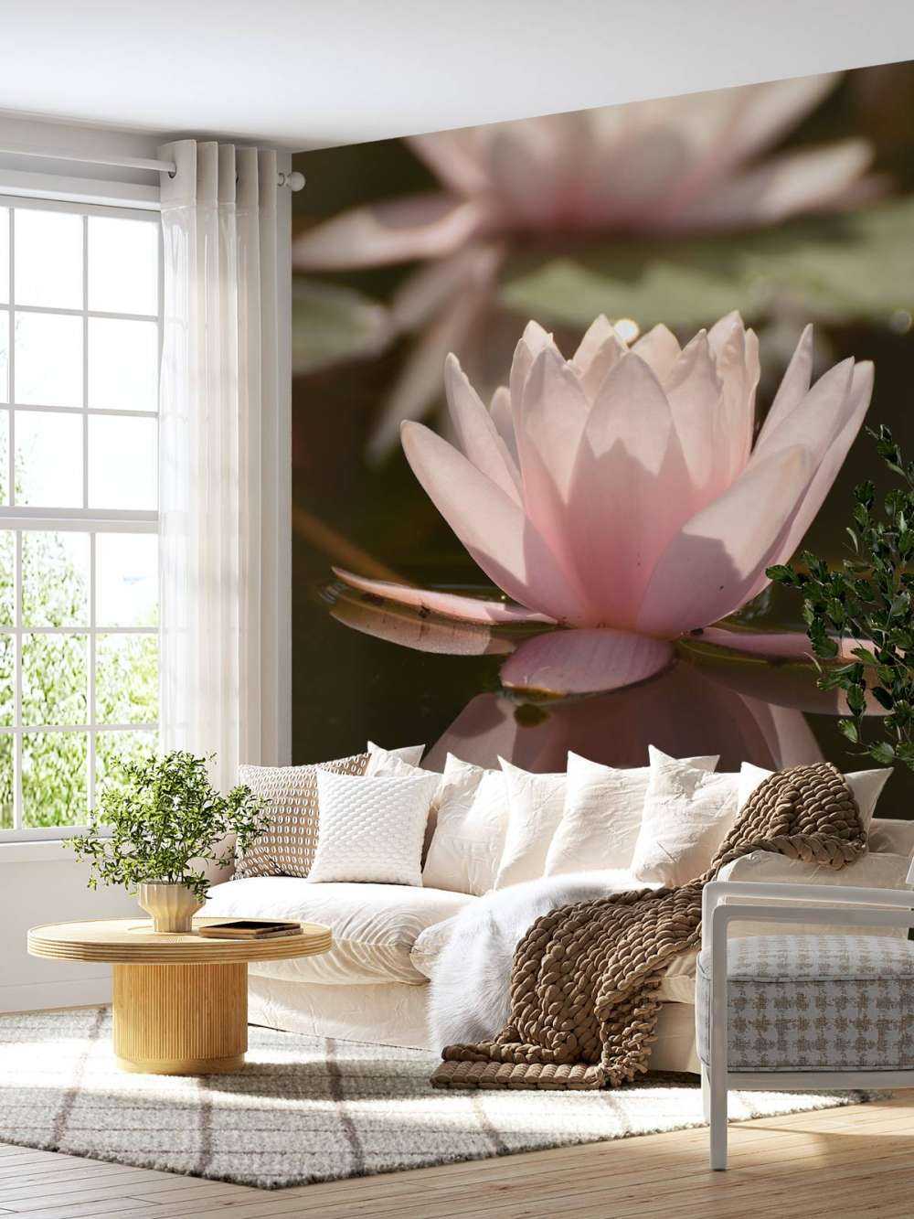 Lotus flower in water