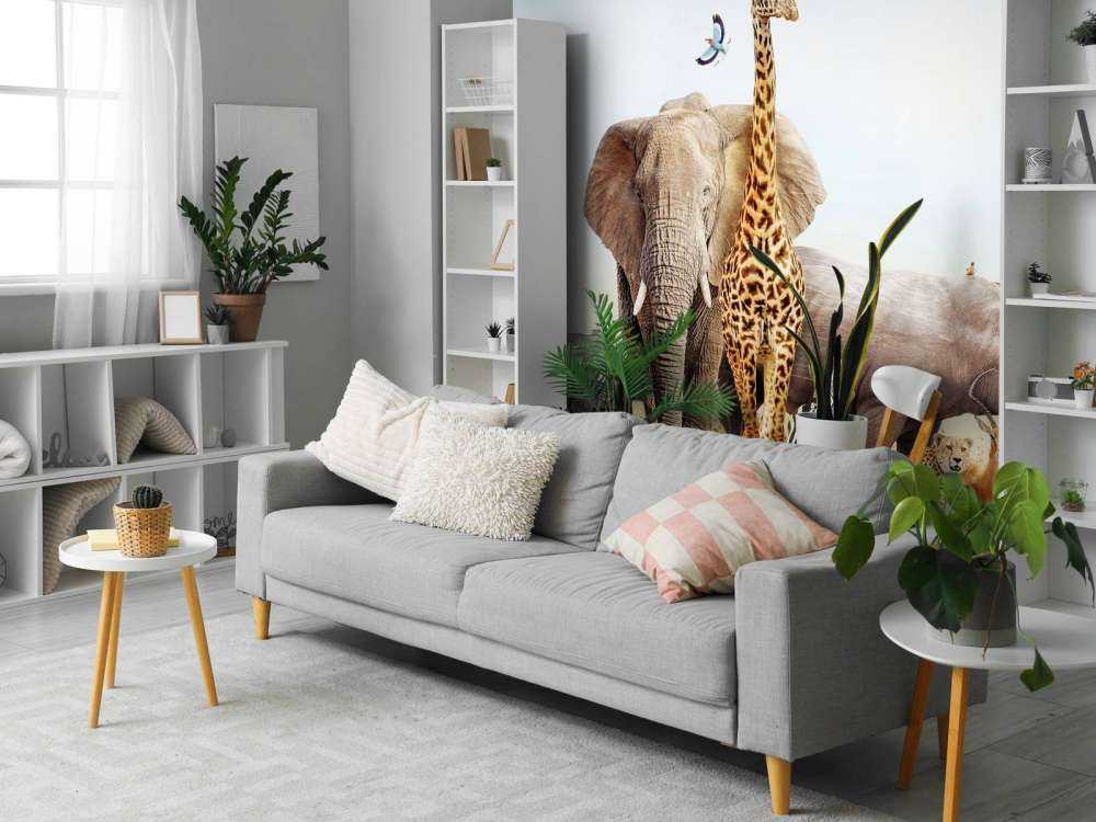 Animals in the savannah