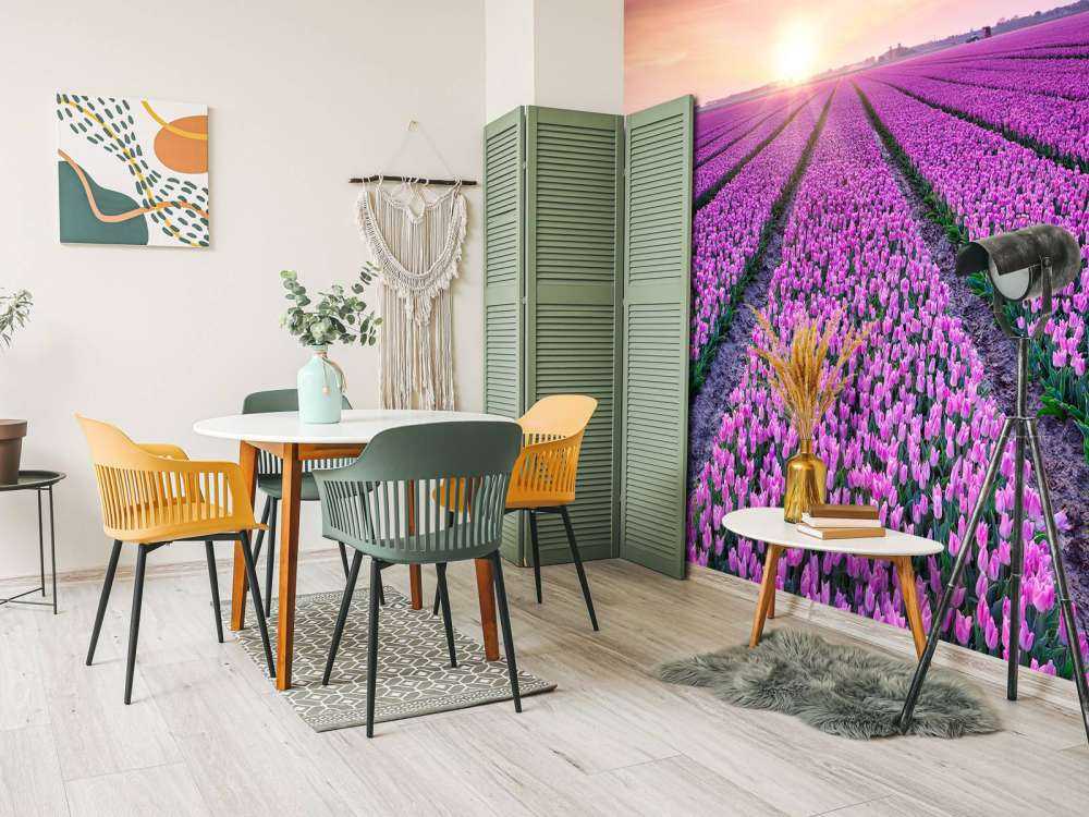 Tulip field at sunrise