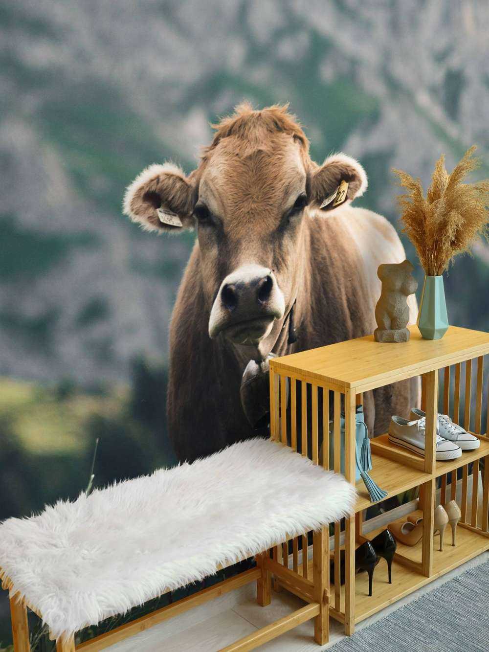 Mountain cow
