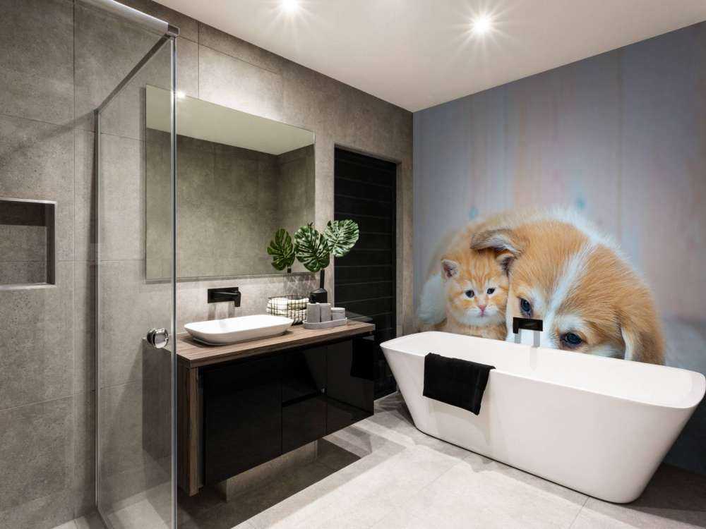 Cat wallpaper. Picture of a kitten and puppy.