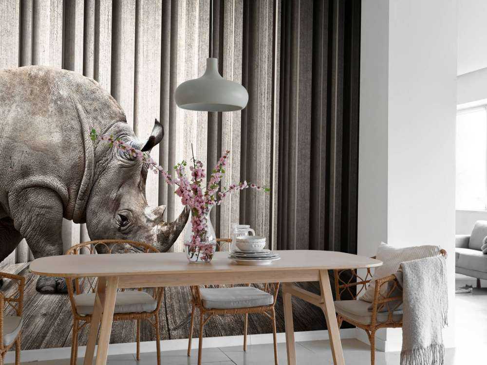 Rhinoceros in hall