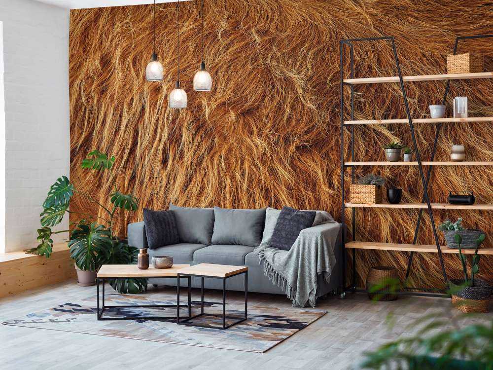 Vintage Scottish Highlander coat