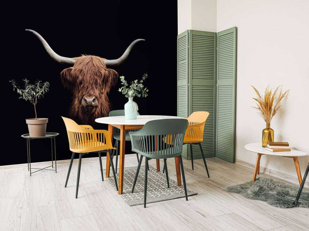 Vintage Scottish Highlander