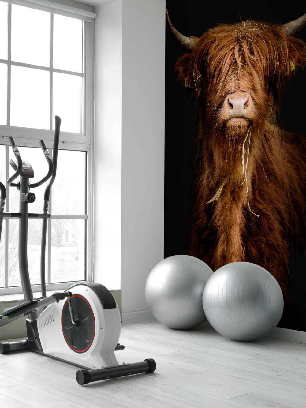 Portrait&#x20;Scottish&#x20;Highlander