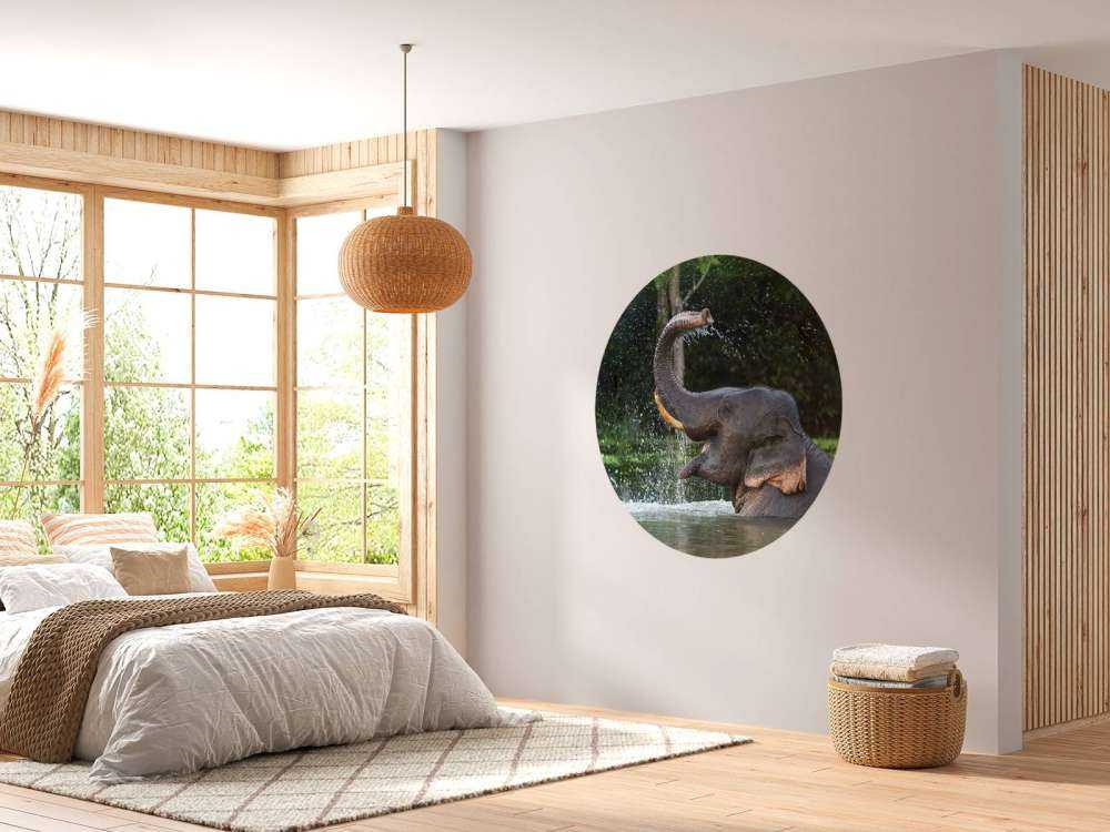 Elephant in water