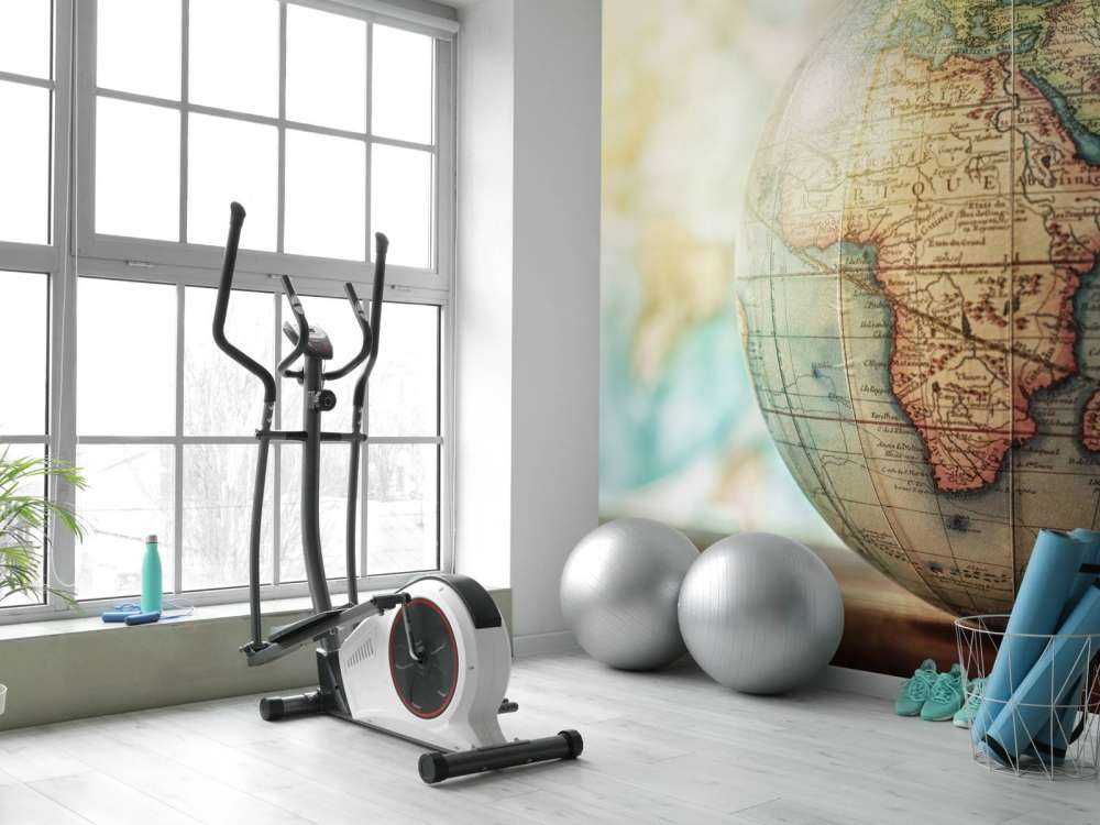 Globe
