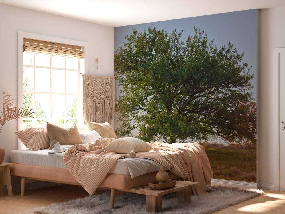 Lonely tree on the heath