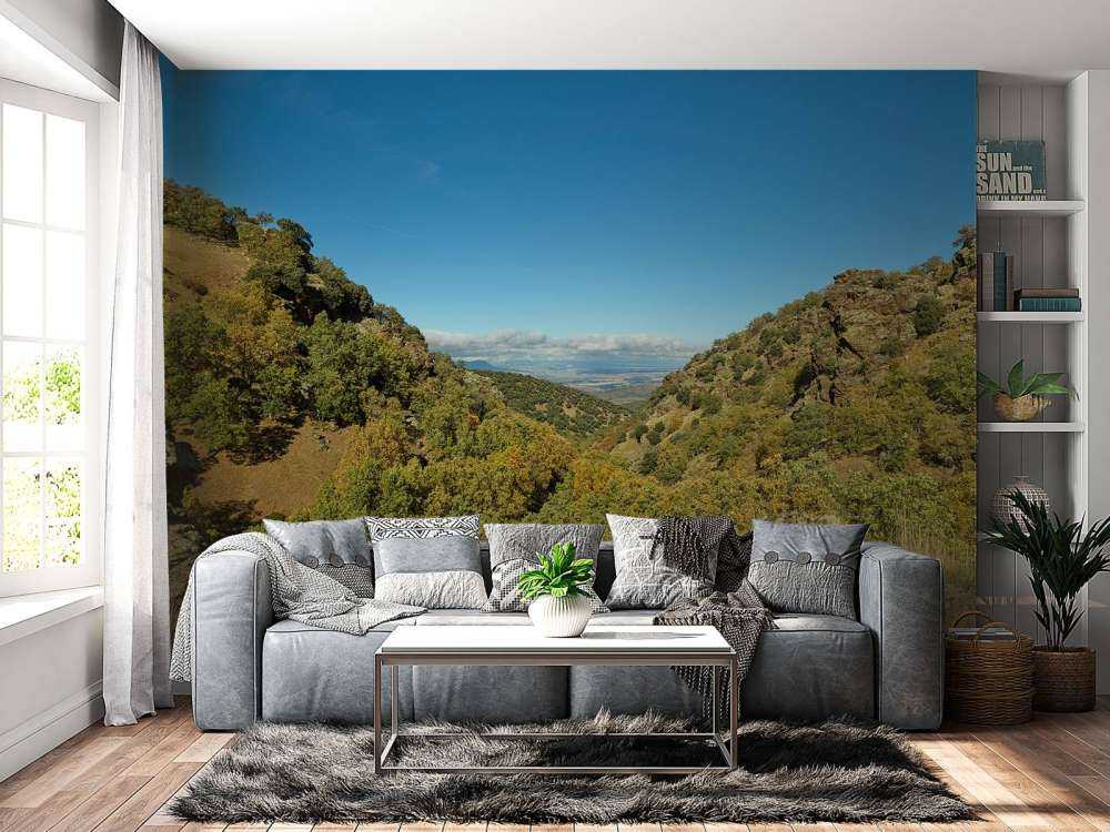 Looking through the mountains