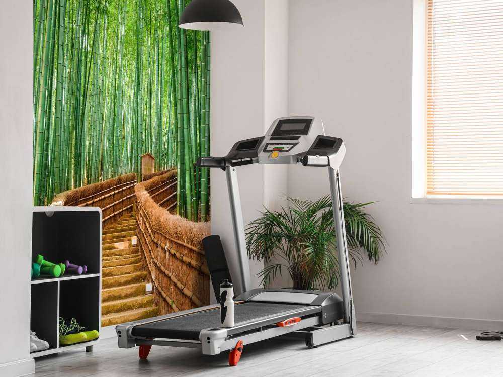 Staircase between bamboo plants