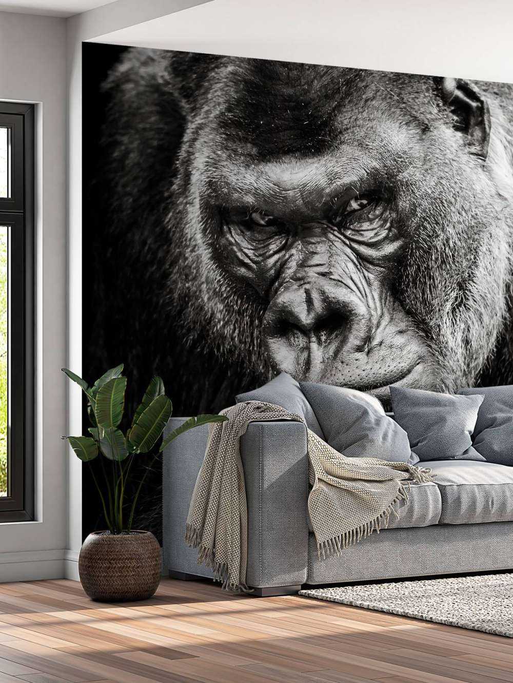 Close-up picture of a gorilla