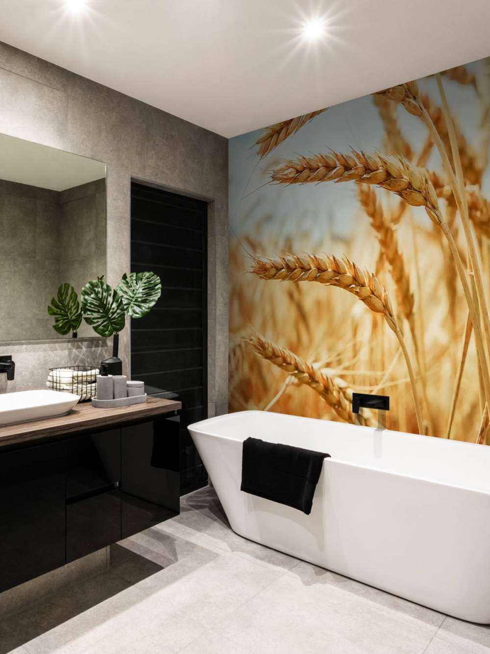 Close up of a cereal plant