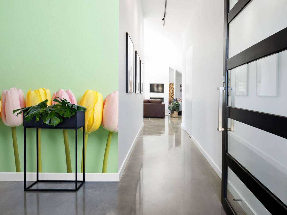 Small tulips on mint green