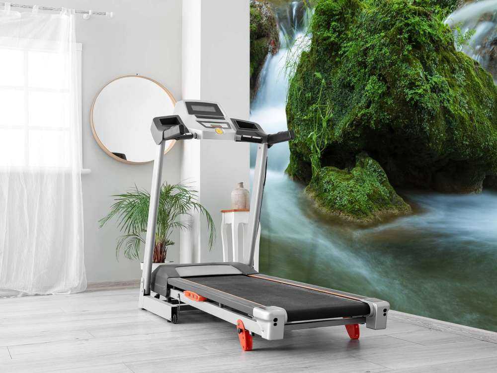 Waterfall in the forest