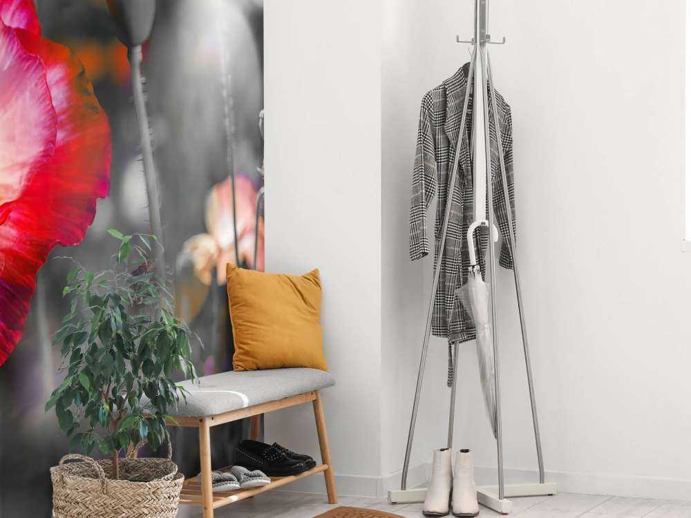 Poppies in black, white, red