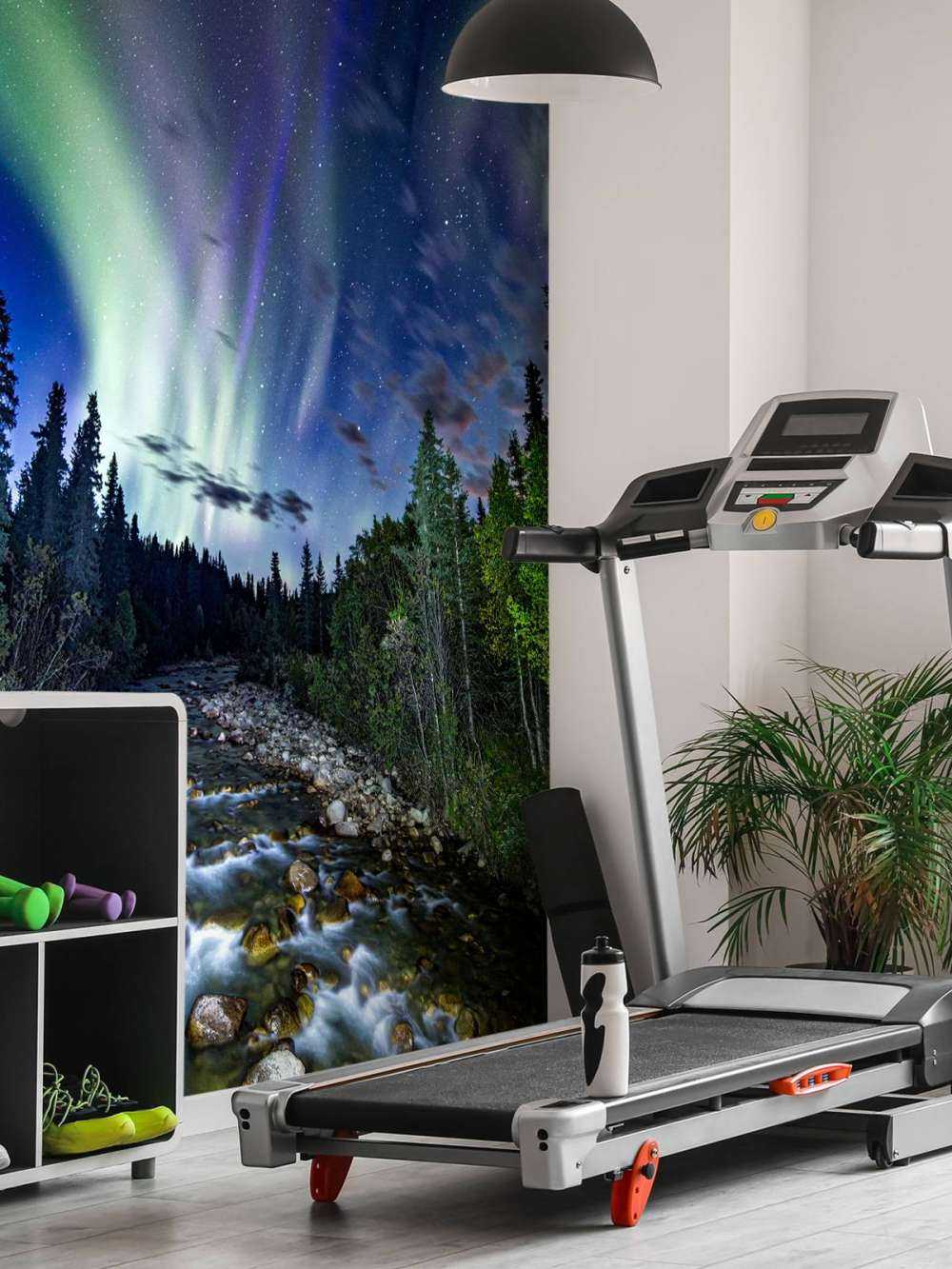 Brooklet during the northern lights