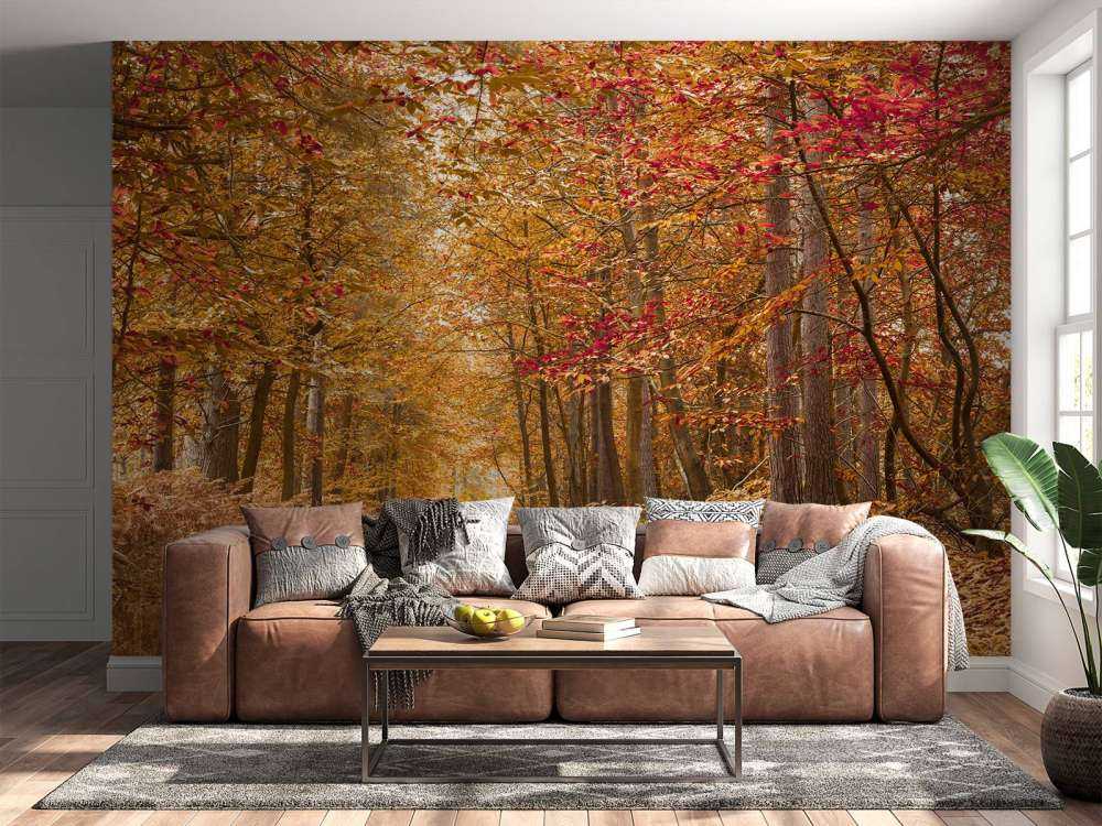 Pathway through Autumn forest