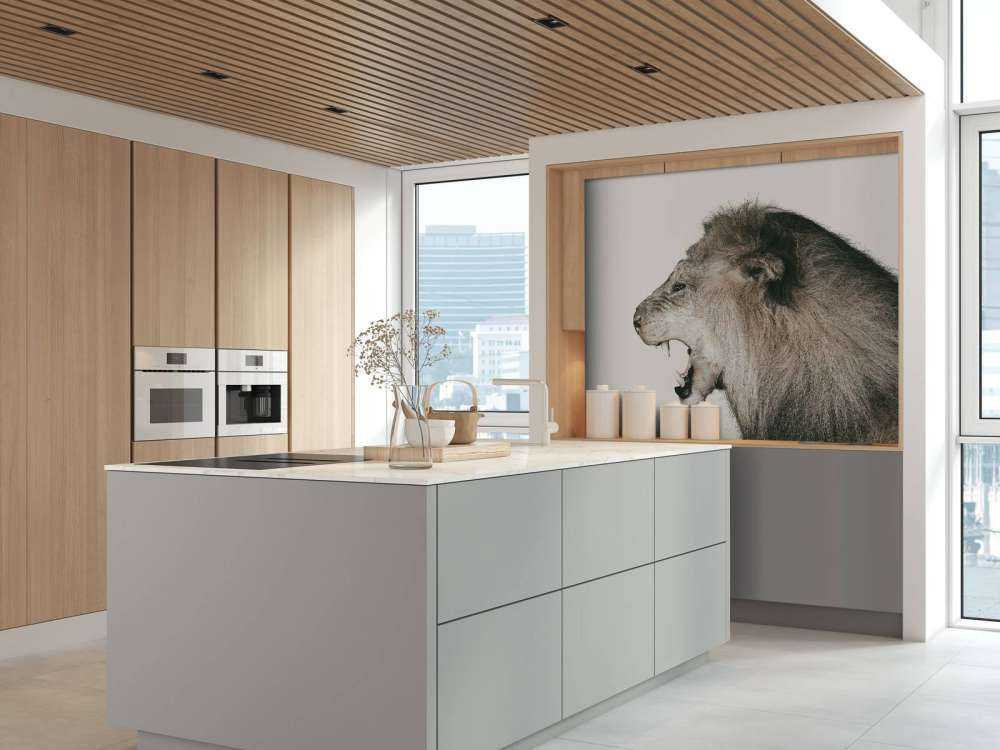 Roaring lion offwhite