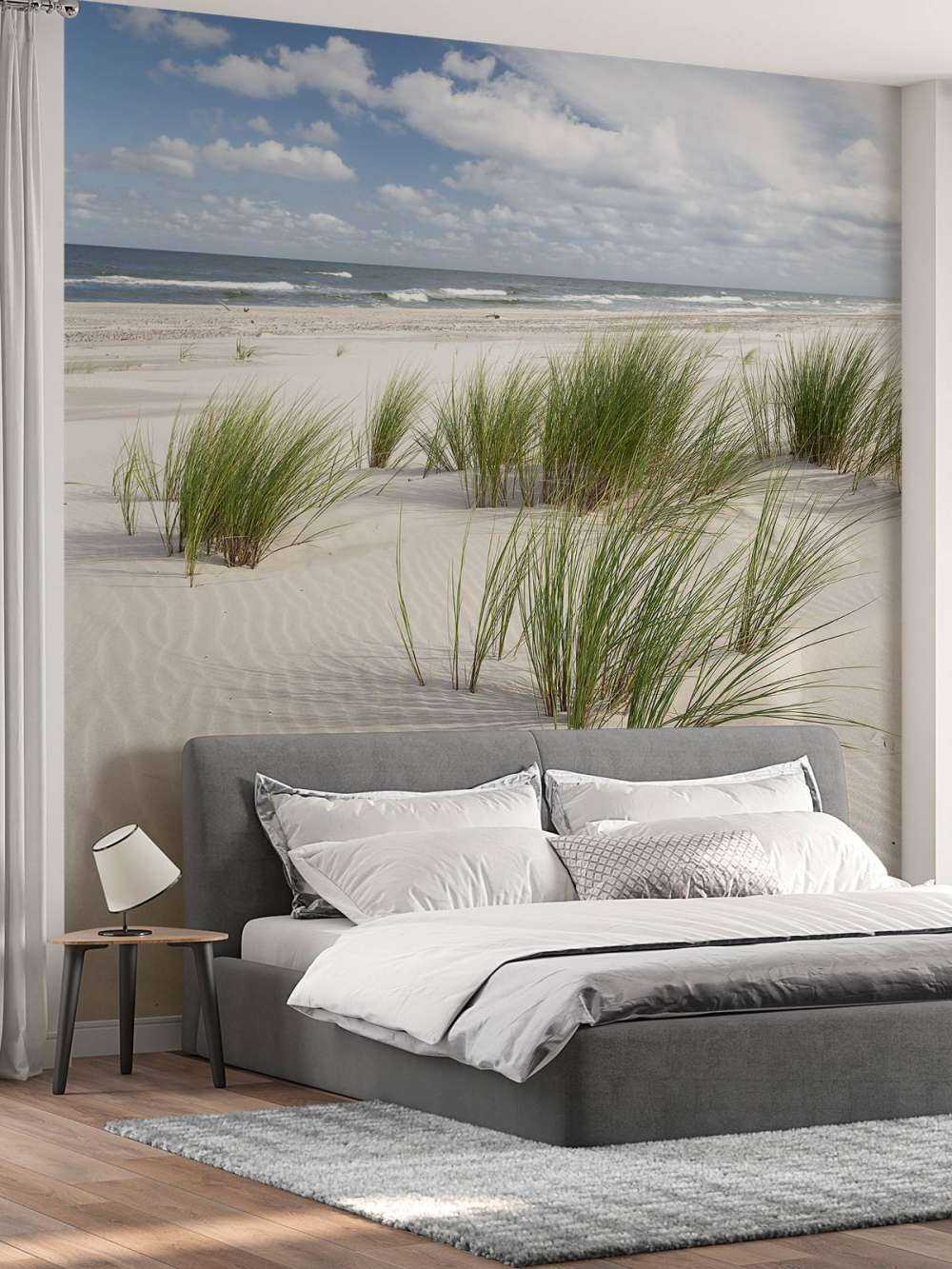 Beach with dune plants