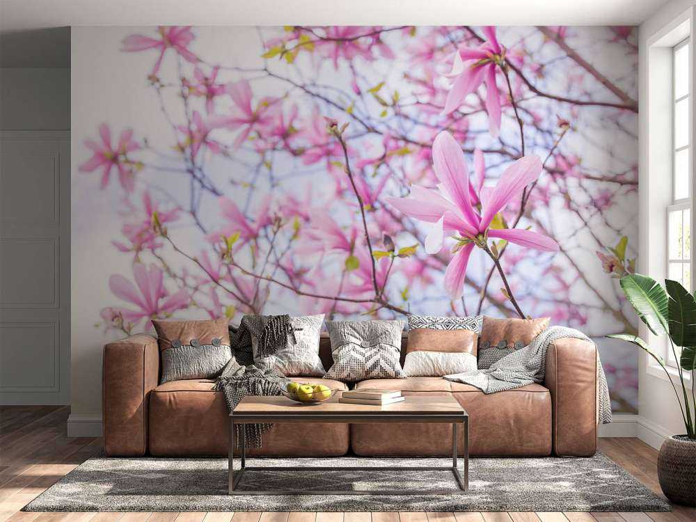Magnolias