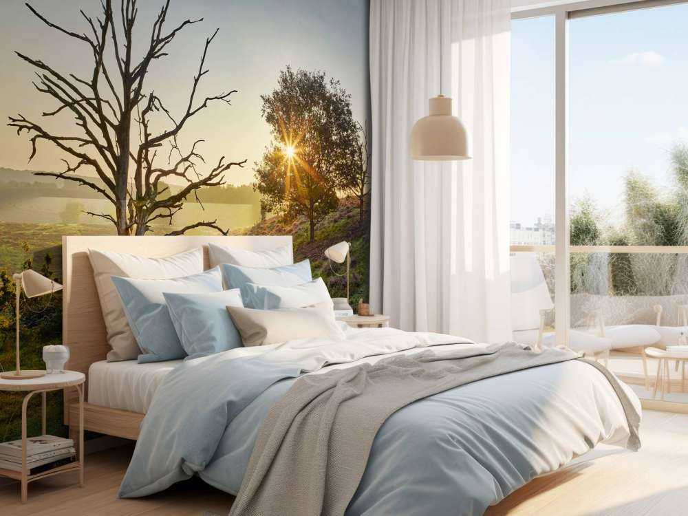 Rising sun on the heath