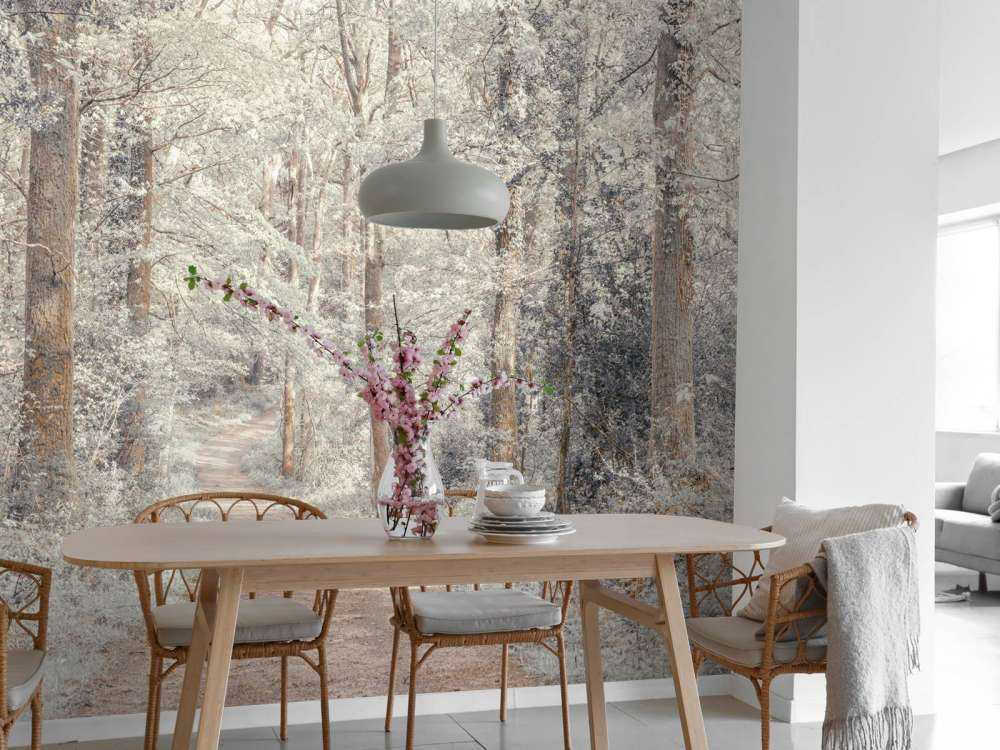 A path through a green forest