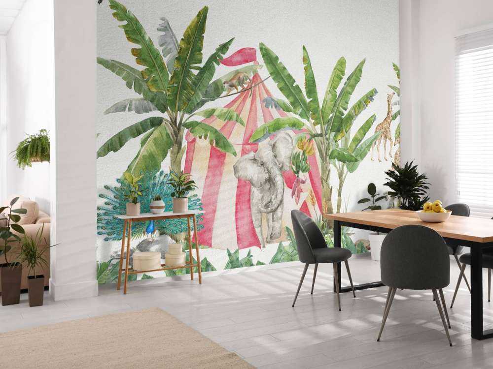 Circus in the jungle