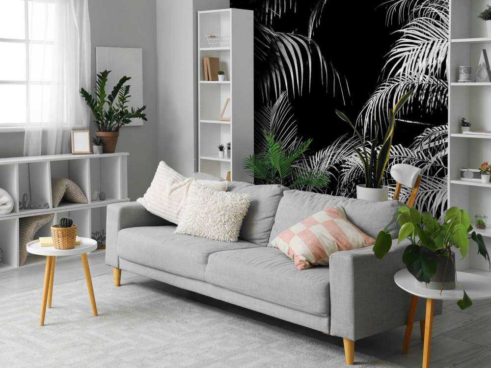 Plant with white leaves