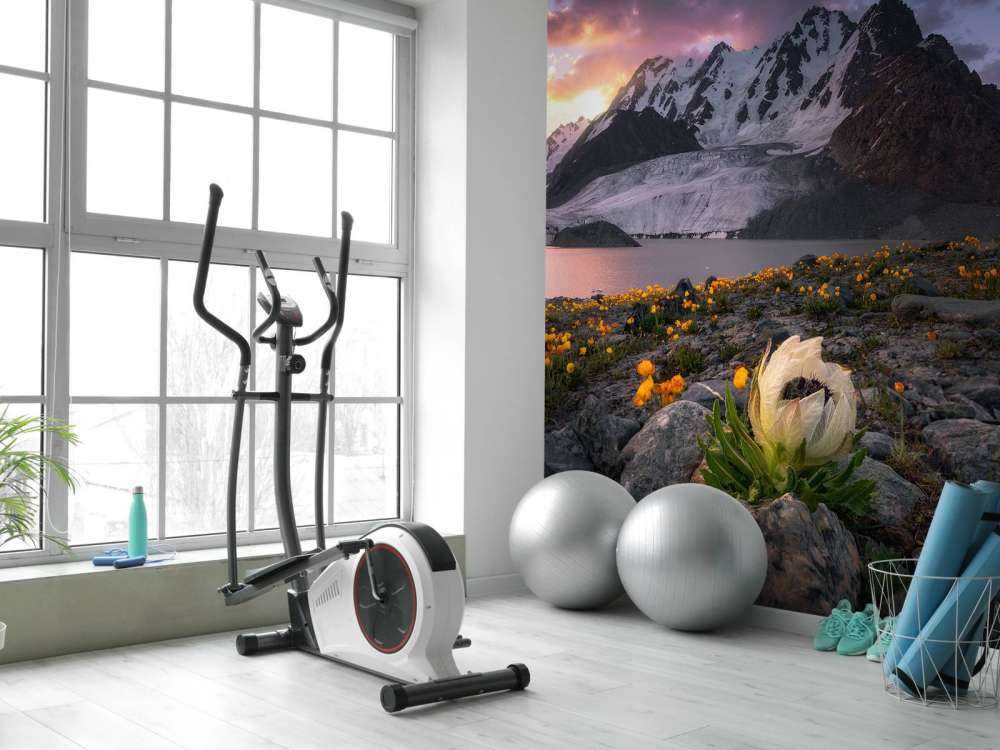 Morning at Saussurea