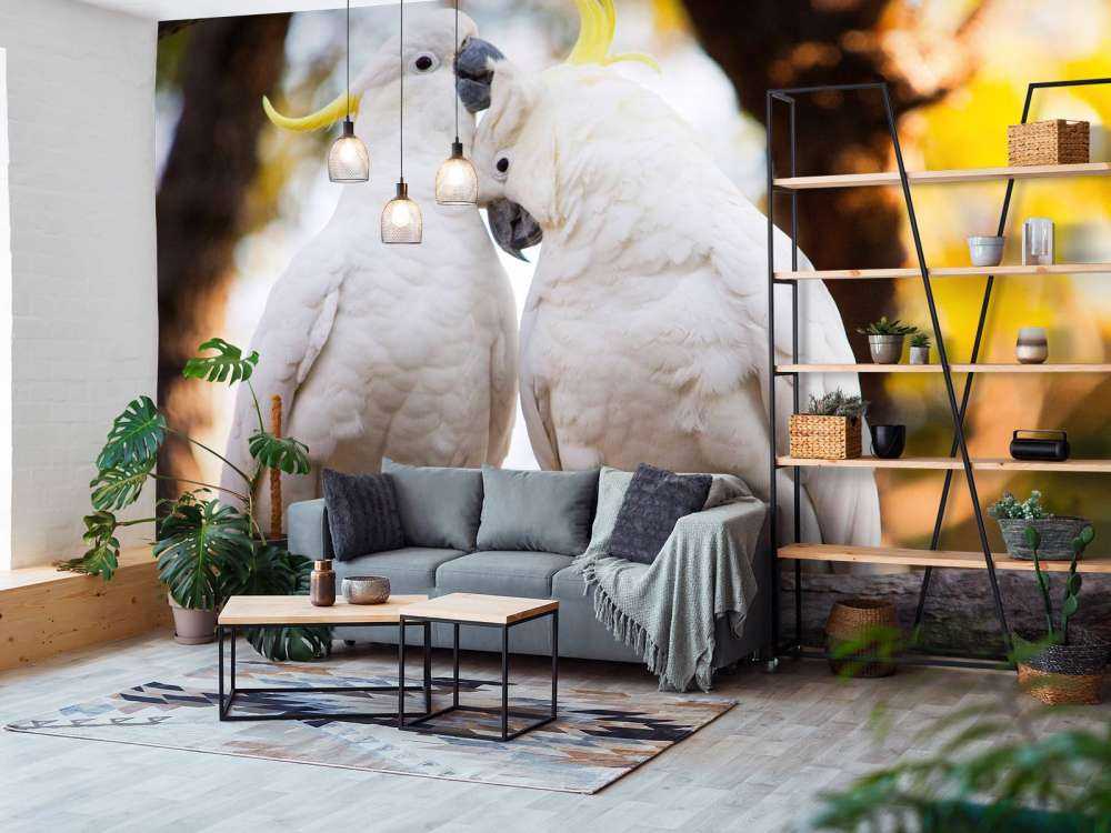 Cockatoo couple
