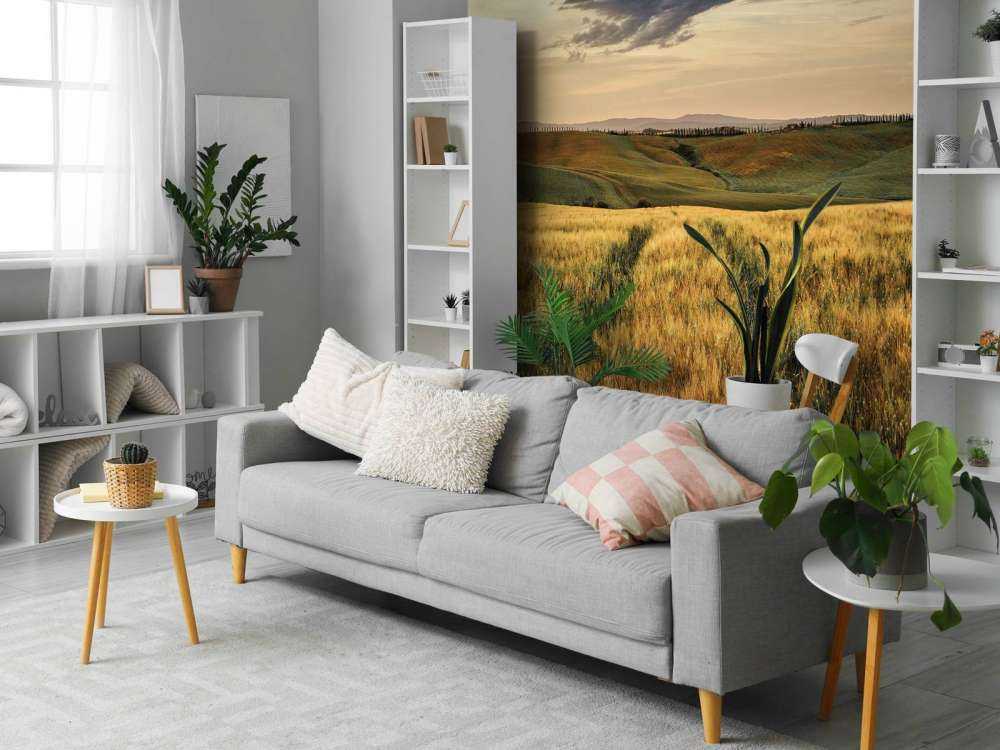 Grain field with tracks