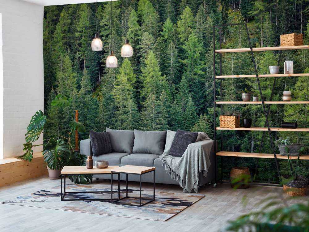Green spruce forest