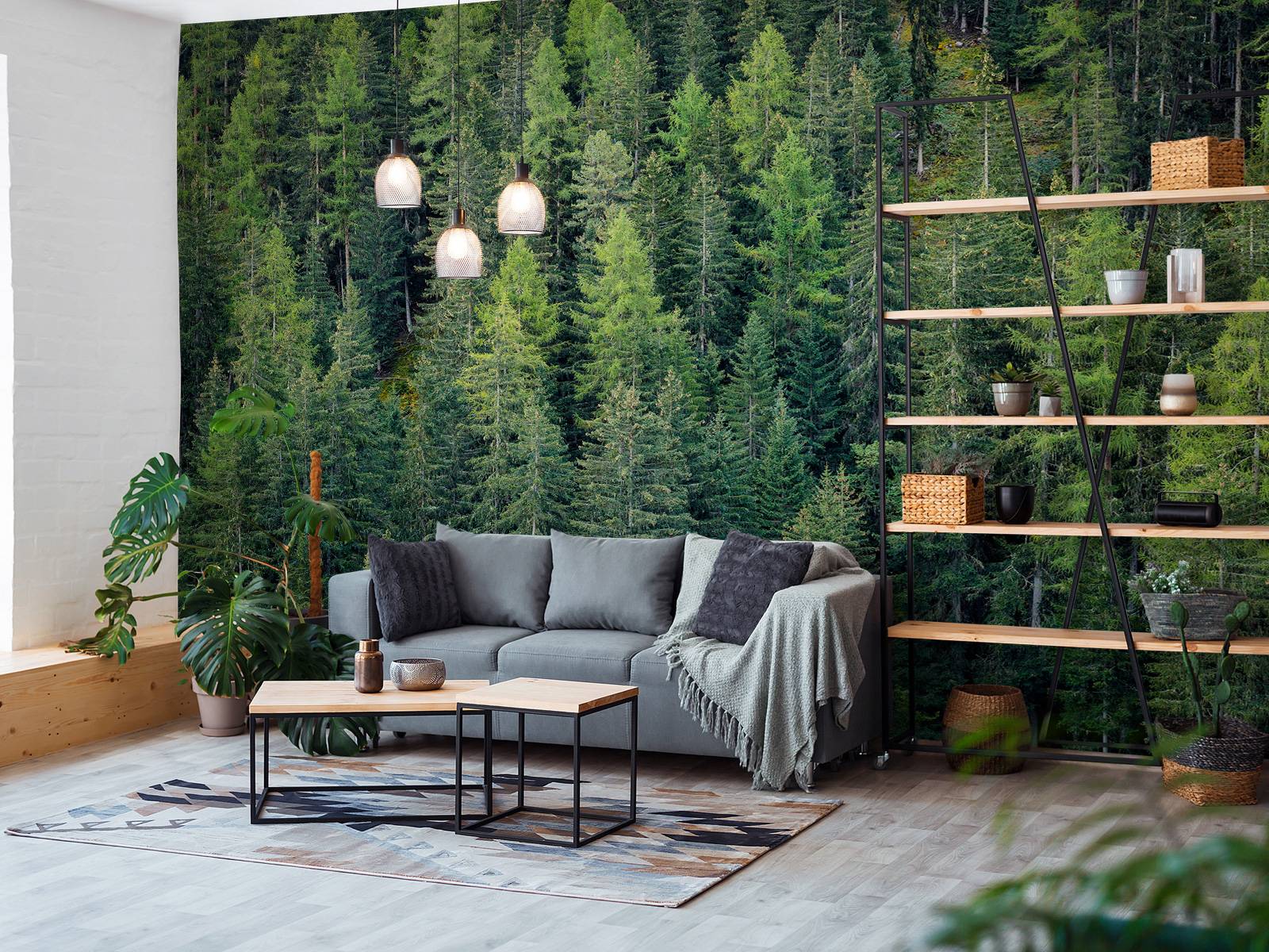 Green spruce forest
