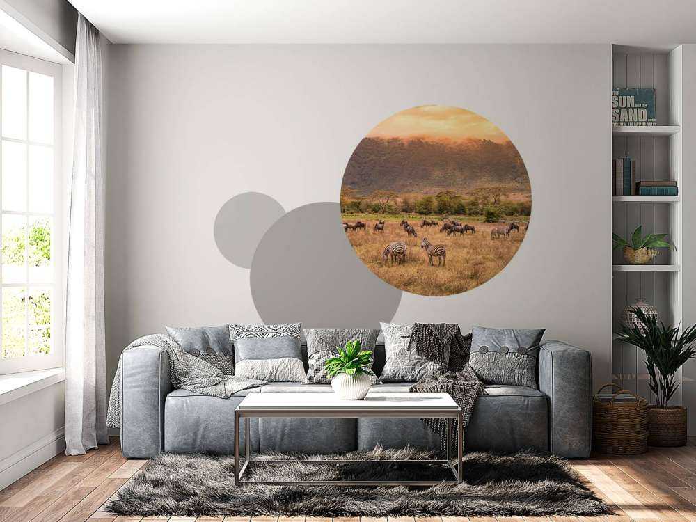Savanna landscape with zebras