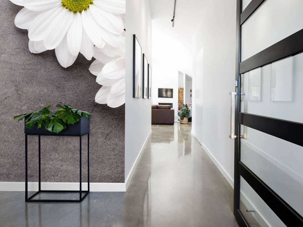 Daisies and concrete