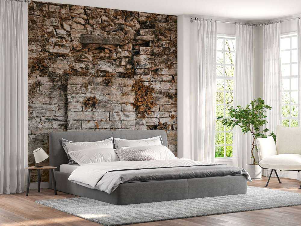 Vegetated wall in autumn