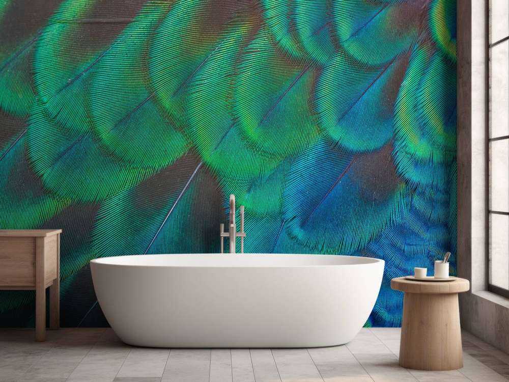 Close-up of peacock feathers