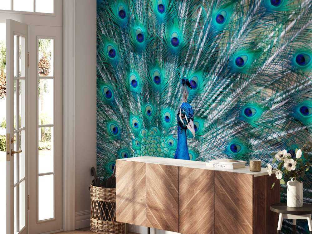 Blue peacock