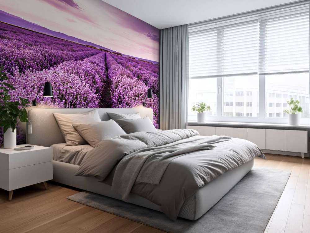 Lavender bushes