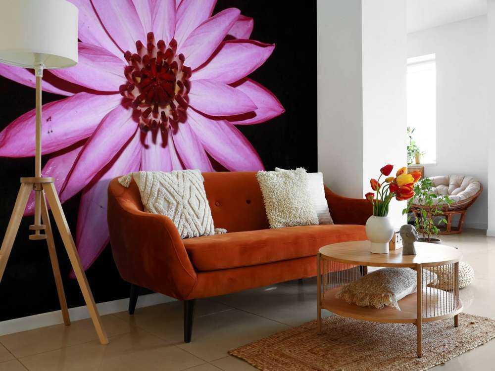 Lotus flower from above