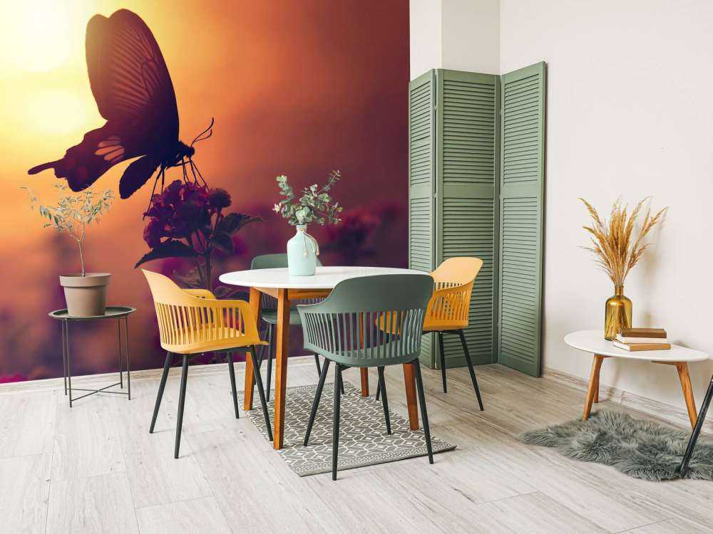 Butterfly with sunset