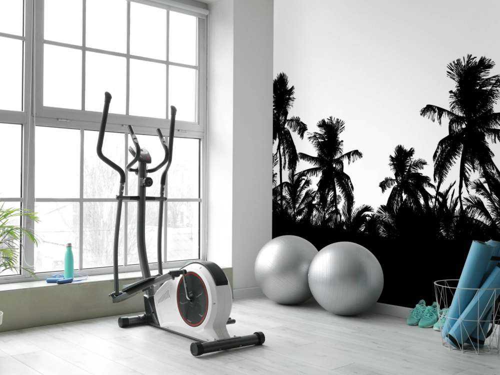 Silhouette palm trees